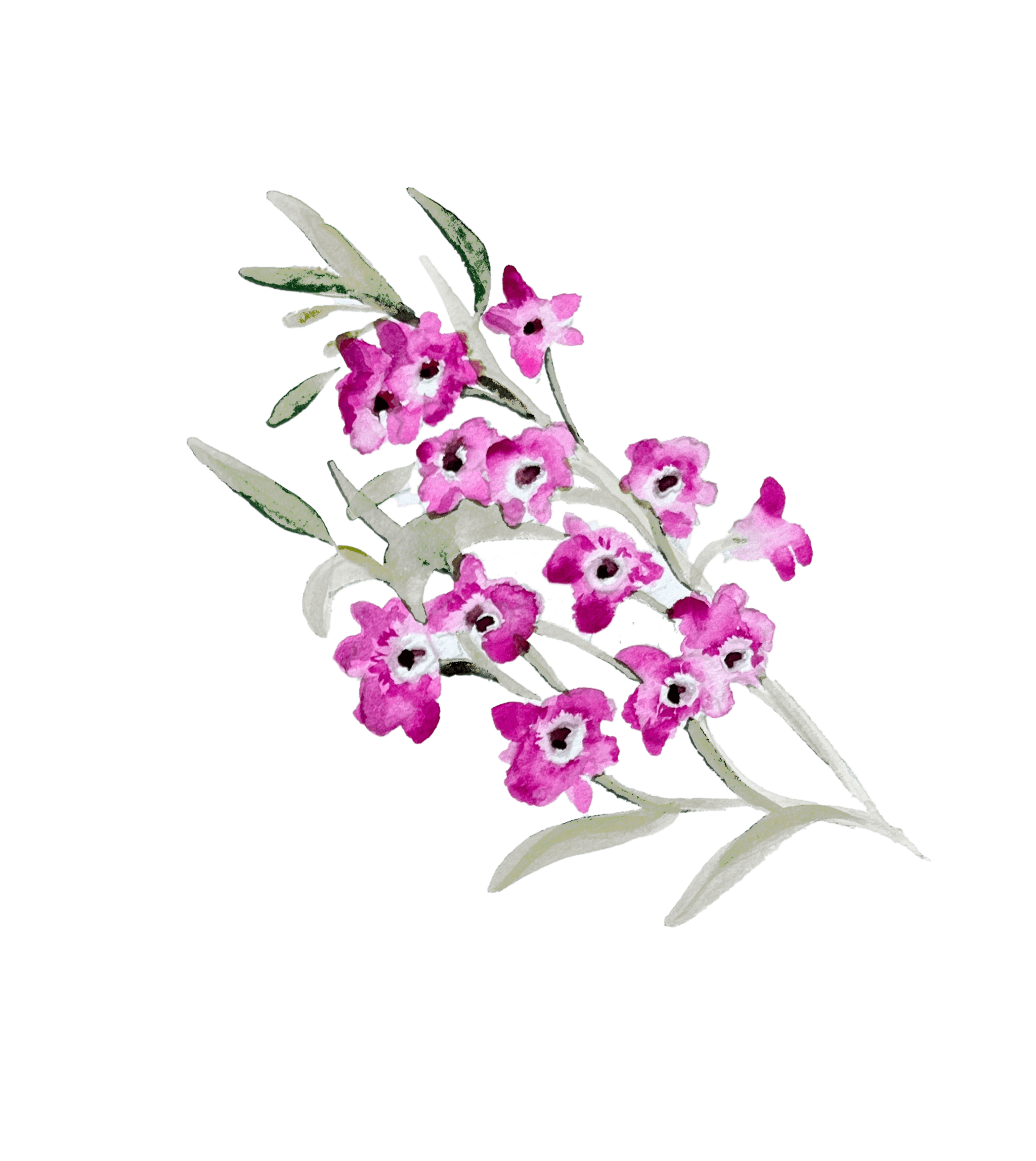 Flor decorativa